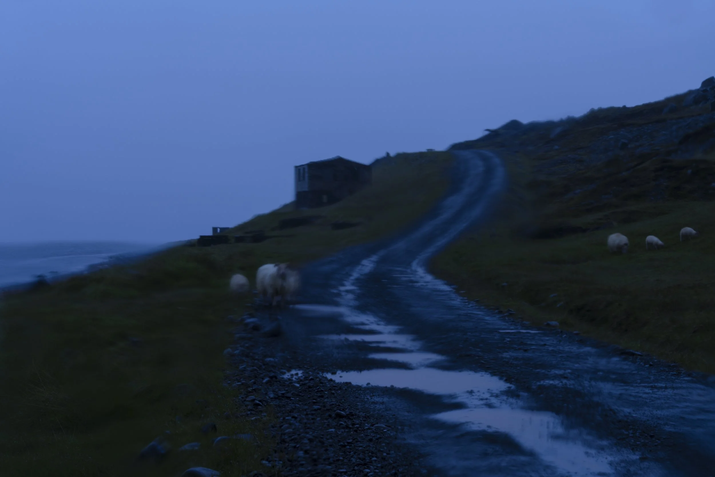 Midnight Dérives (2026)