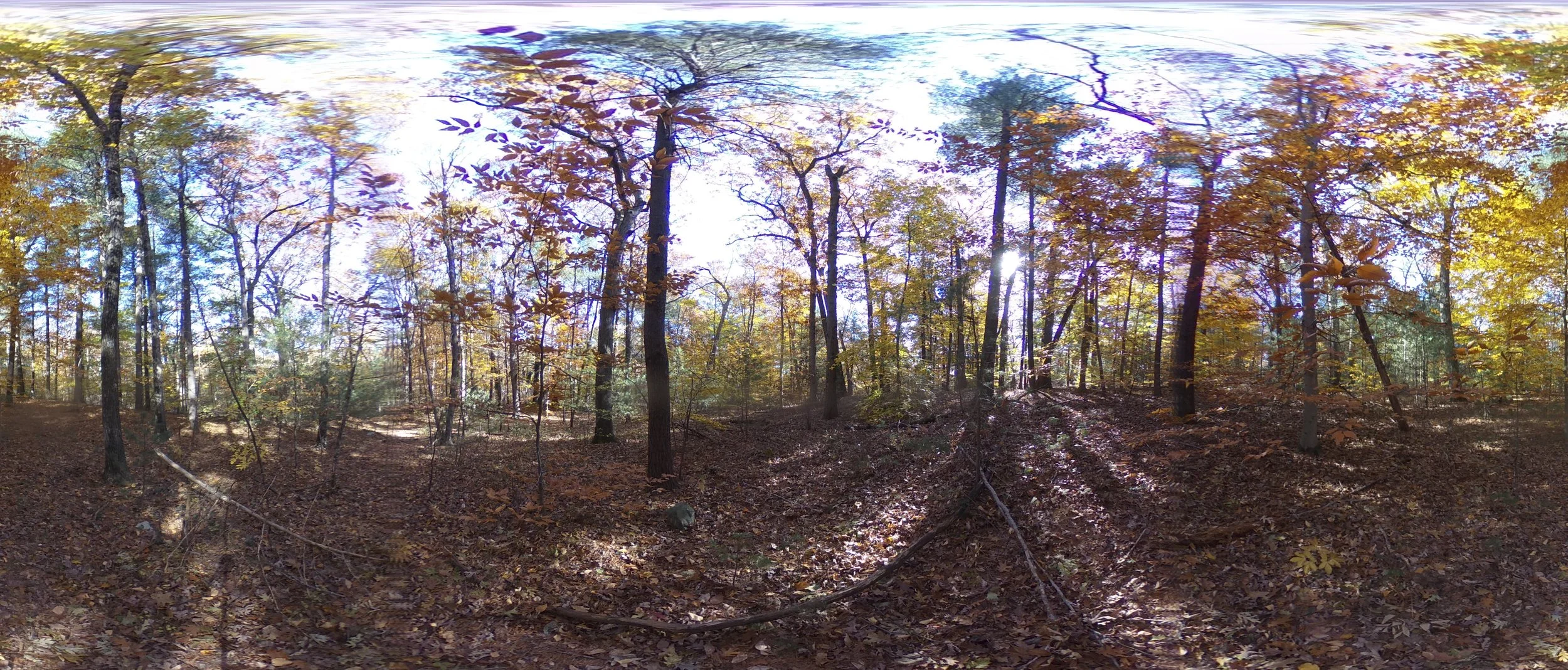 R0010209-3.jpg