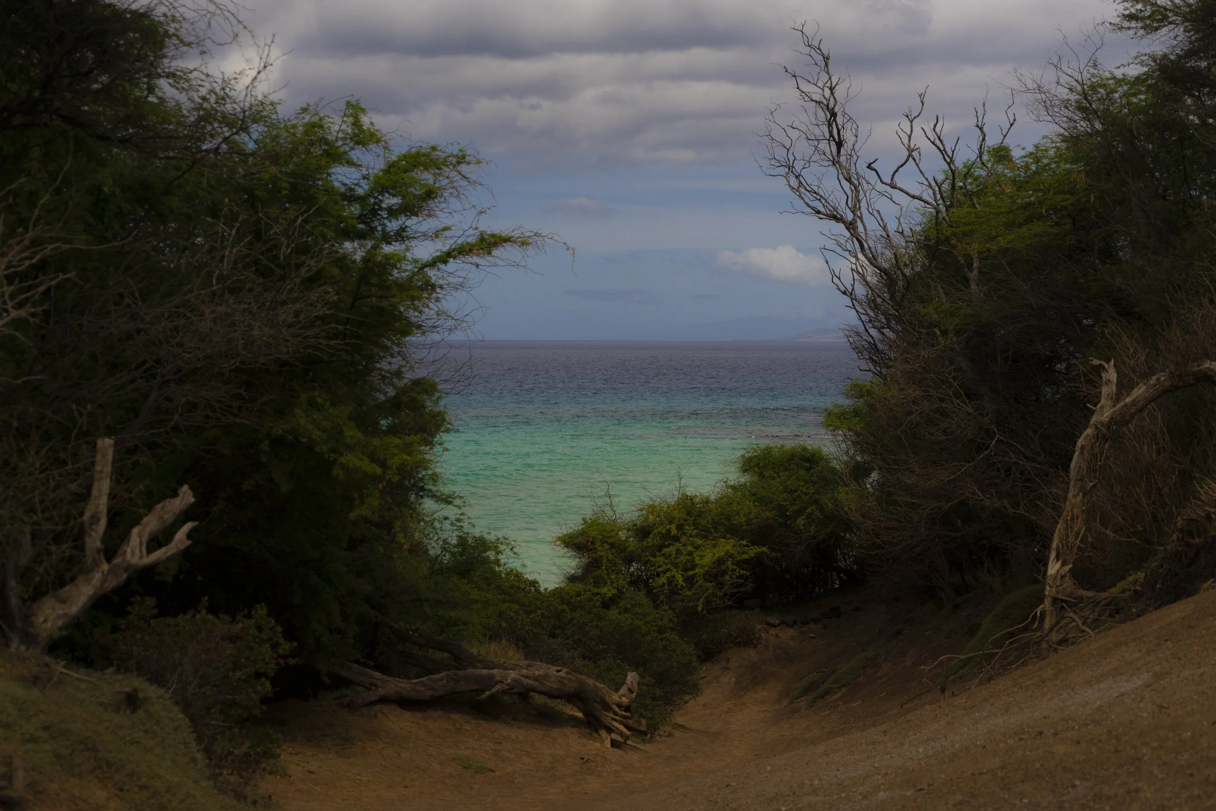 _DSC8595.jpg