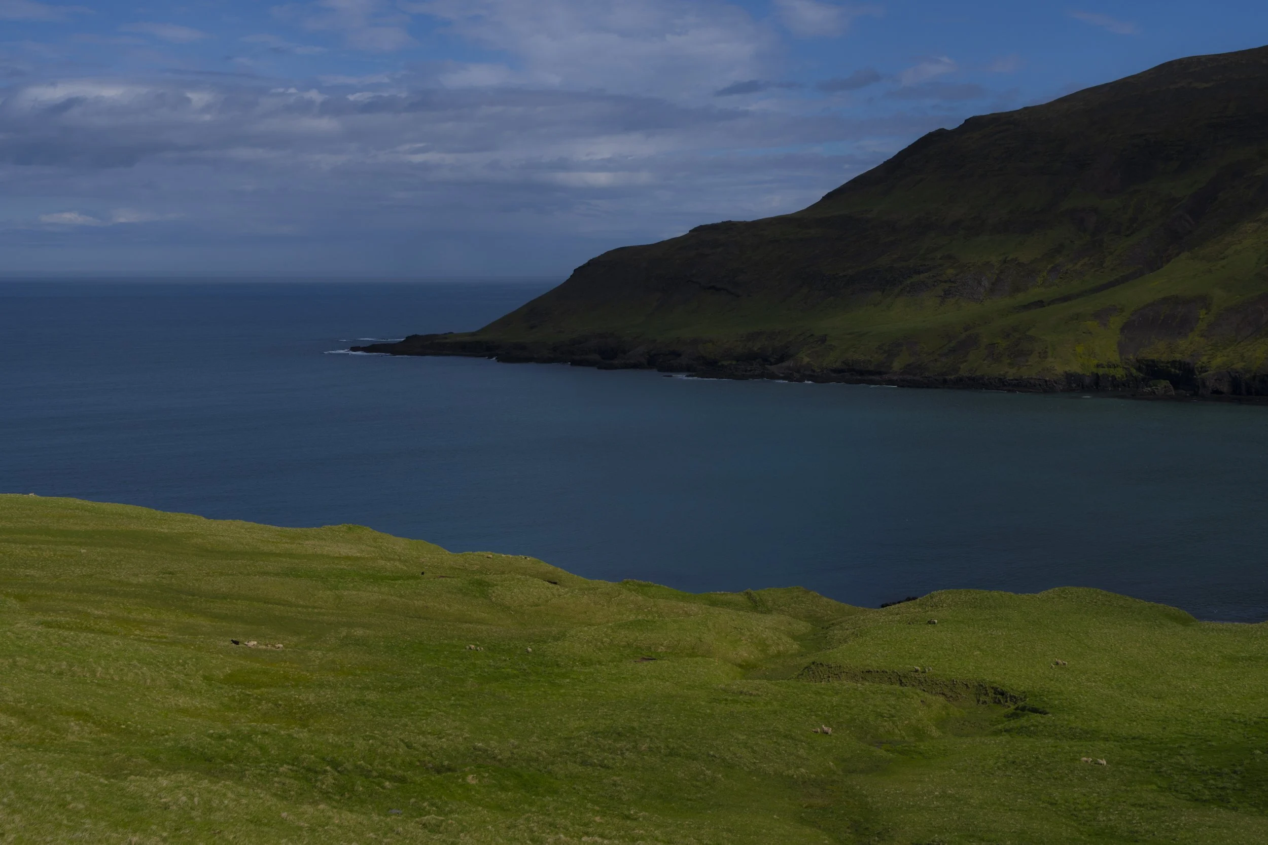 DSC09290.jpg