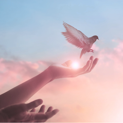 Thumbnail Spiritual Guidance copy.png