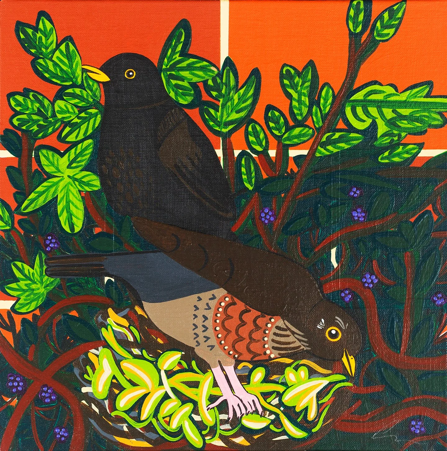 Nesting Blackbirds without frame.jpg