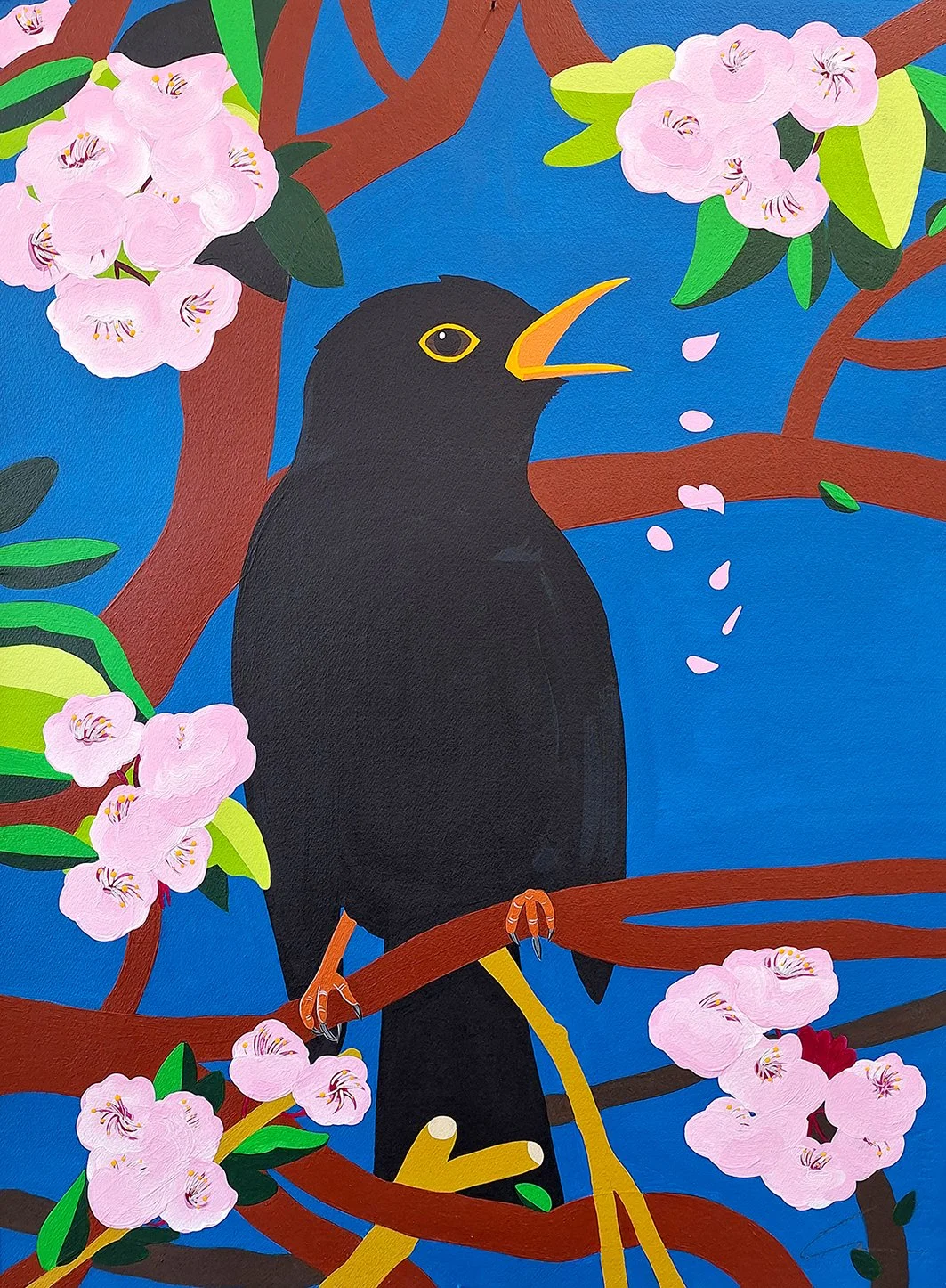 Male Blackbird Singing Under the Blossom small.jpg