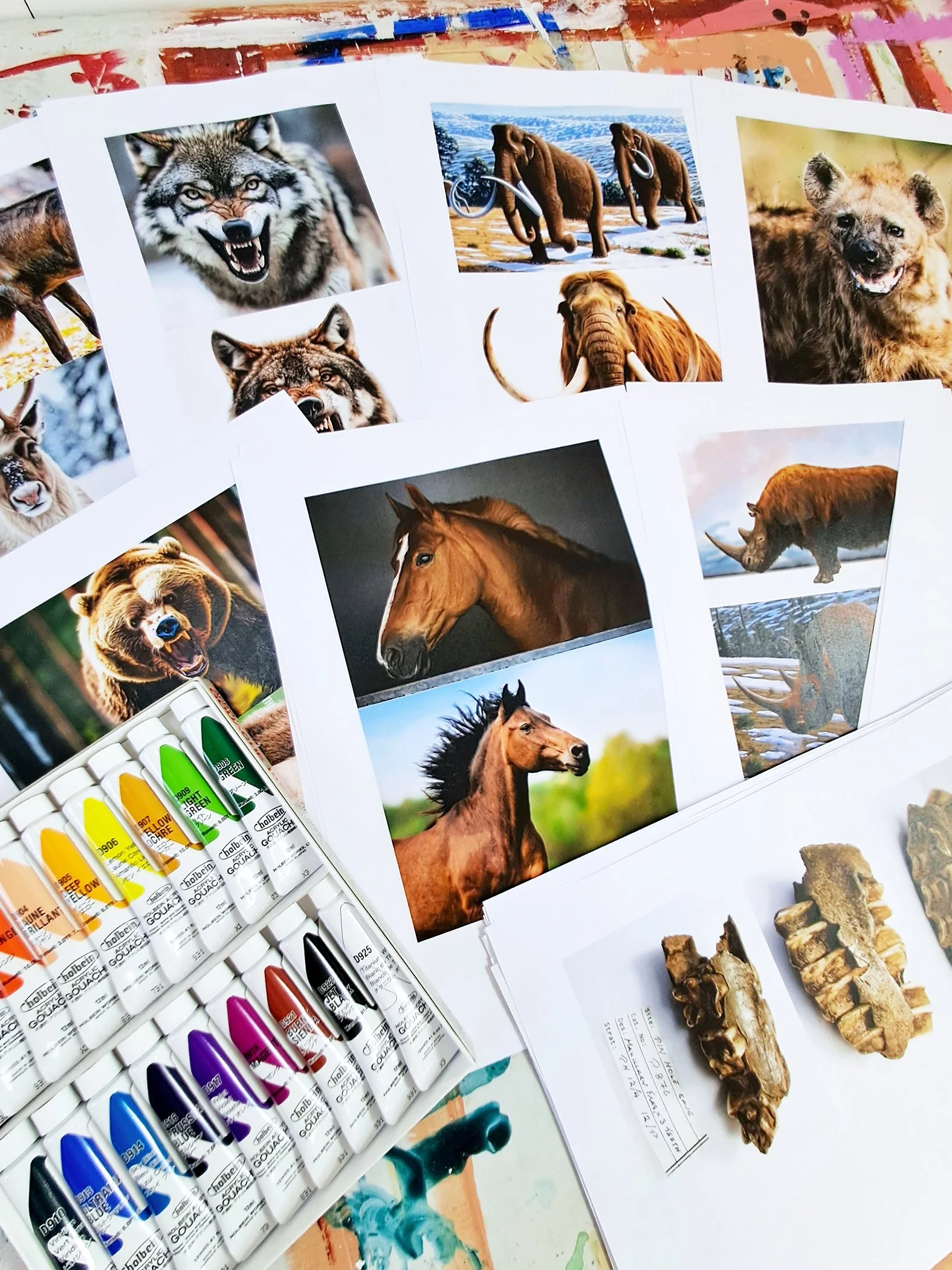 Research images of mammals at the studio .jpg
