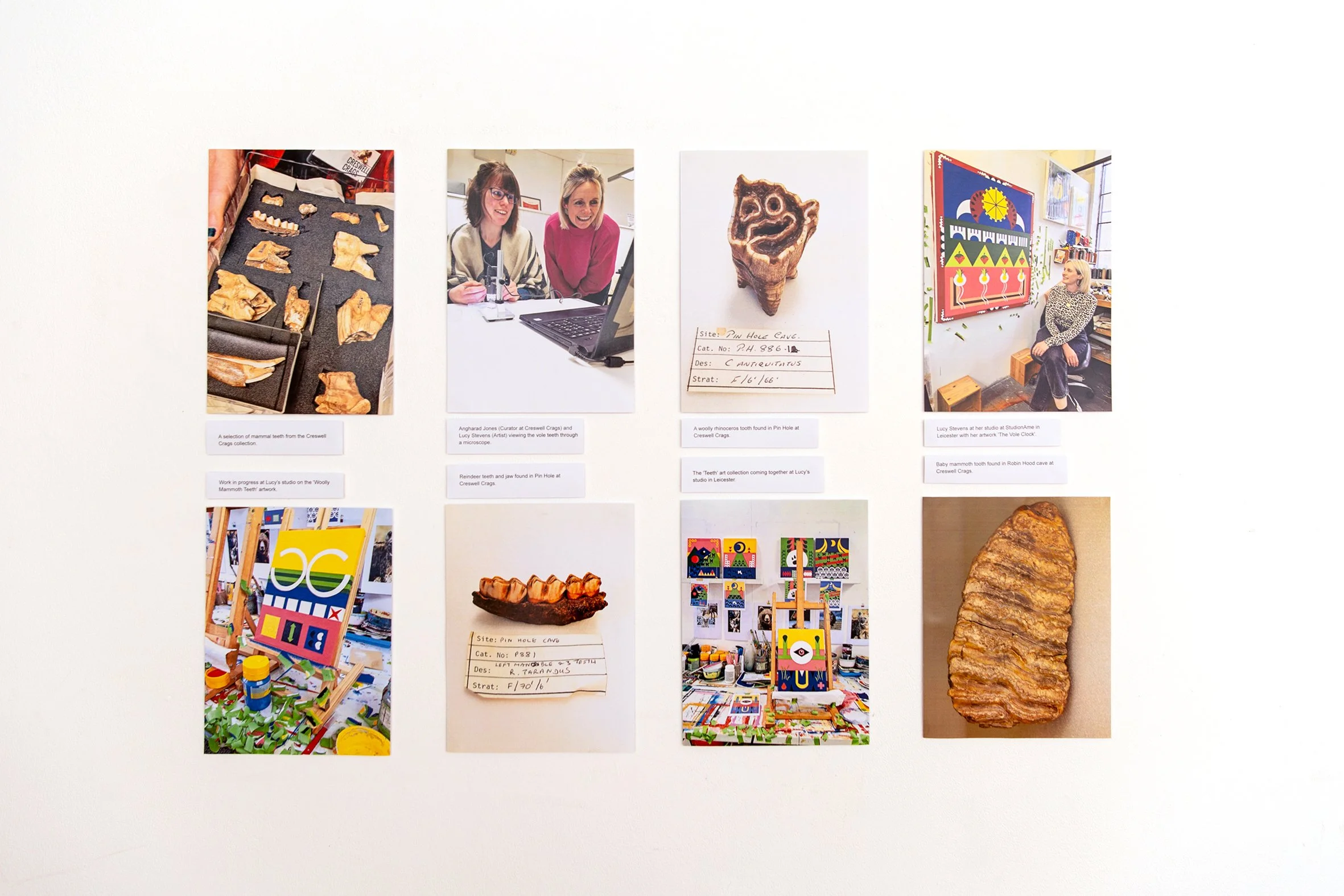 Research photos on wall small.jpg