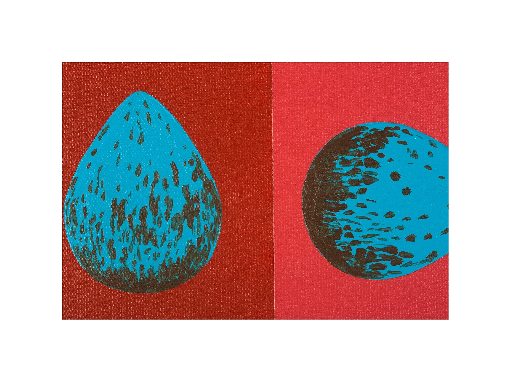 Blackbird Eggs detail (2) small white space.jpg