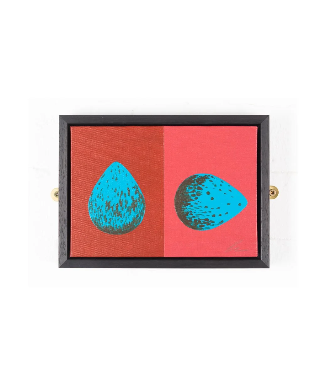 Blackbird Eggs with white space.jpg