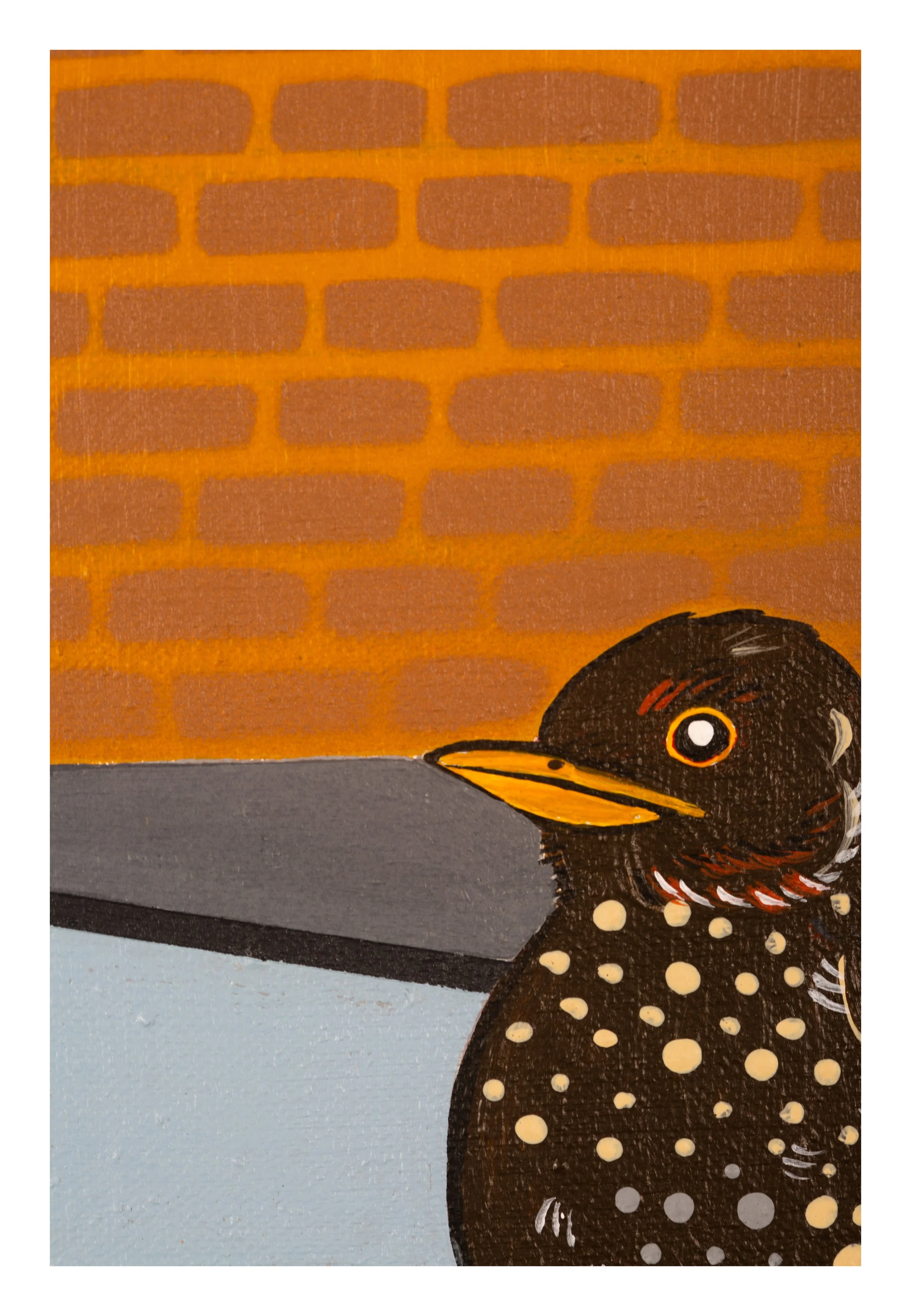 Fledgling Blackbird detail (2) small white space.jpg