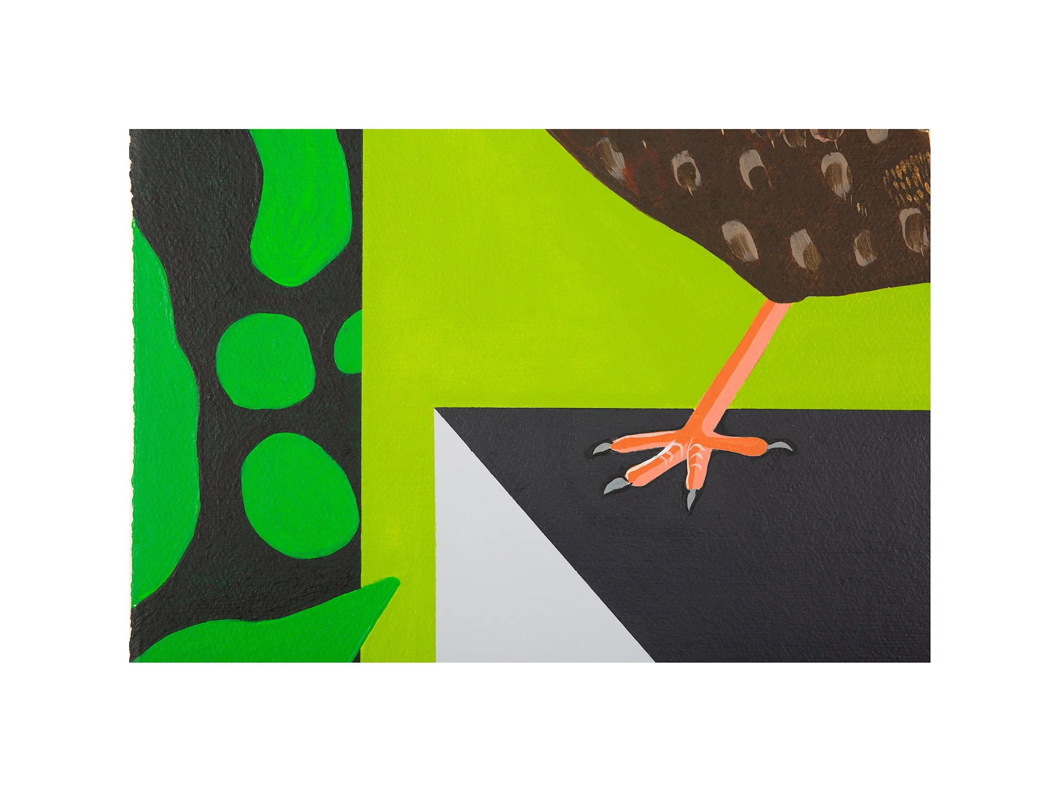 Female Blackbird detail (1) small white space.jpg