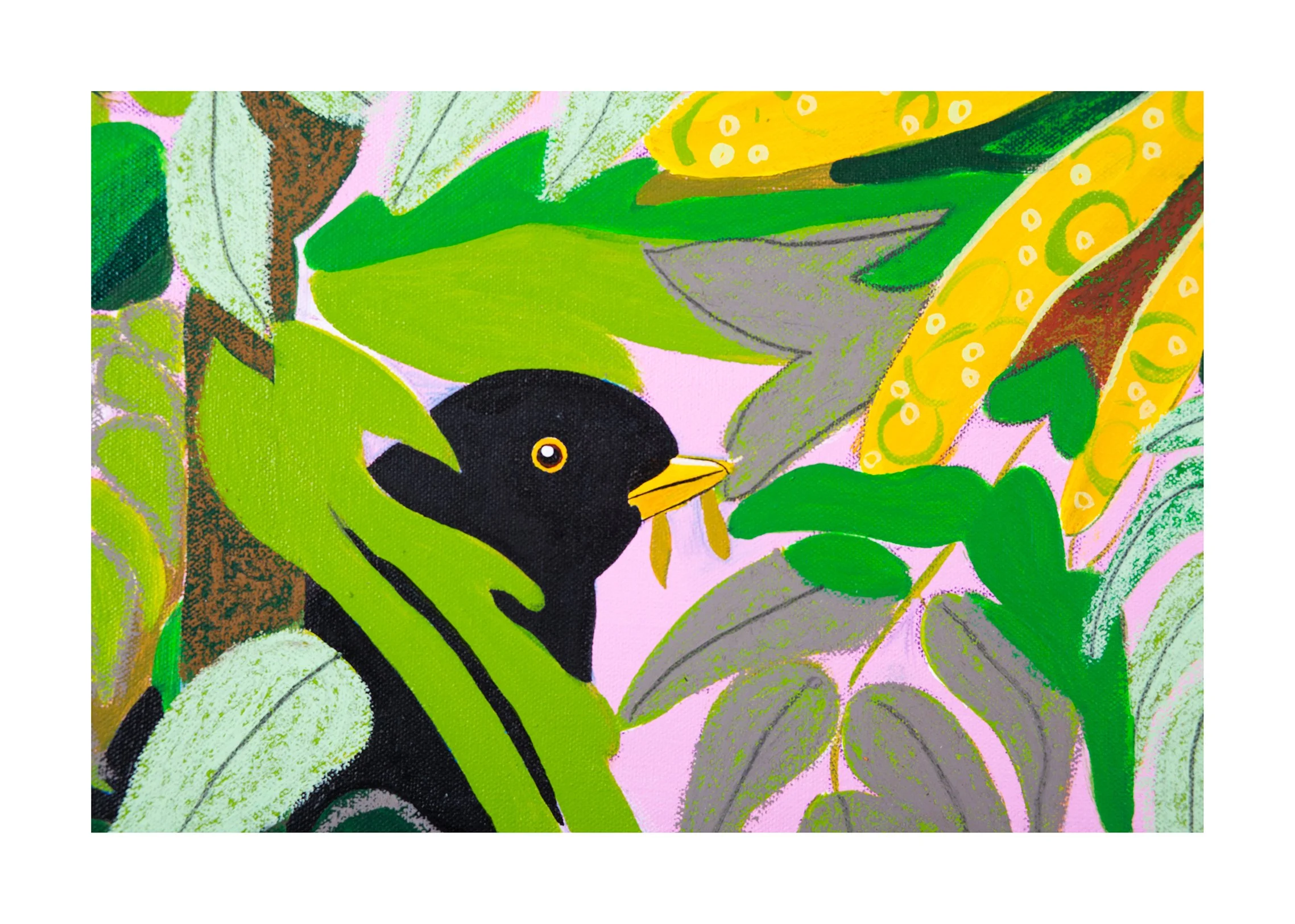 Blackbird and Mahonia detail (3) small white space.jpg