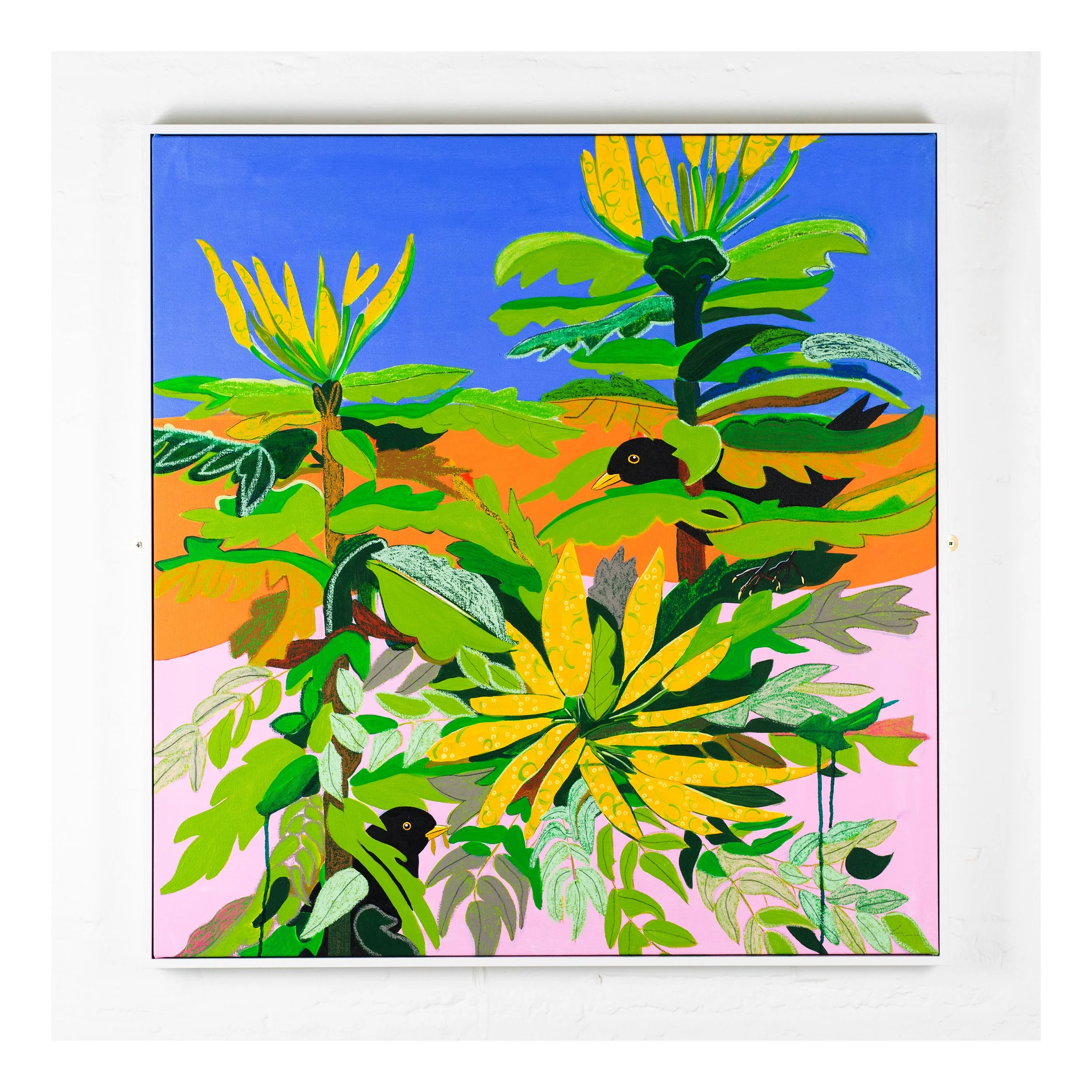 Blackbirds and Mahonia with white space.jpg