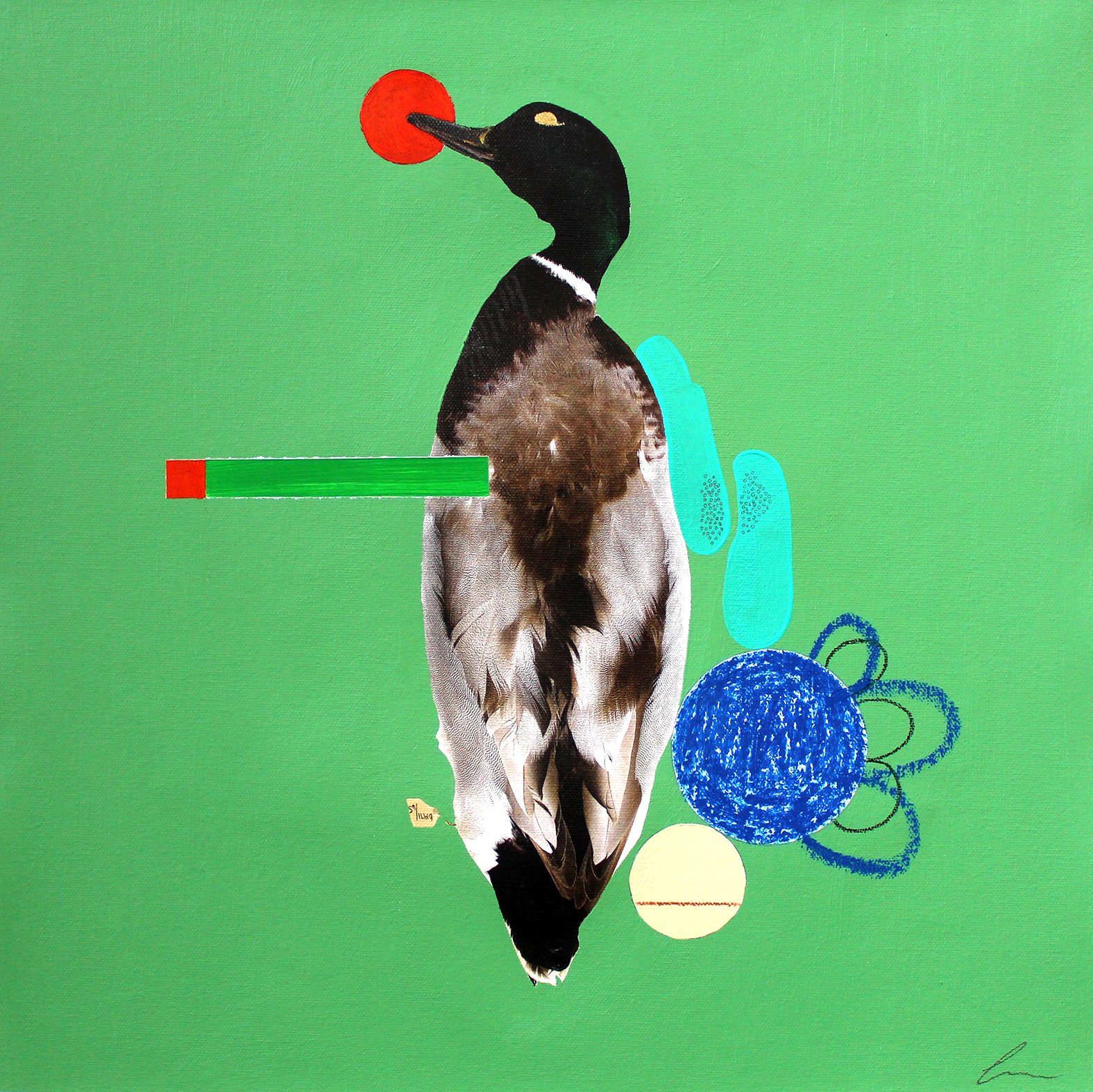 Mallard.jpg