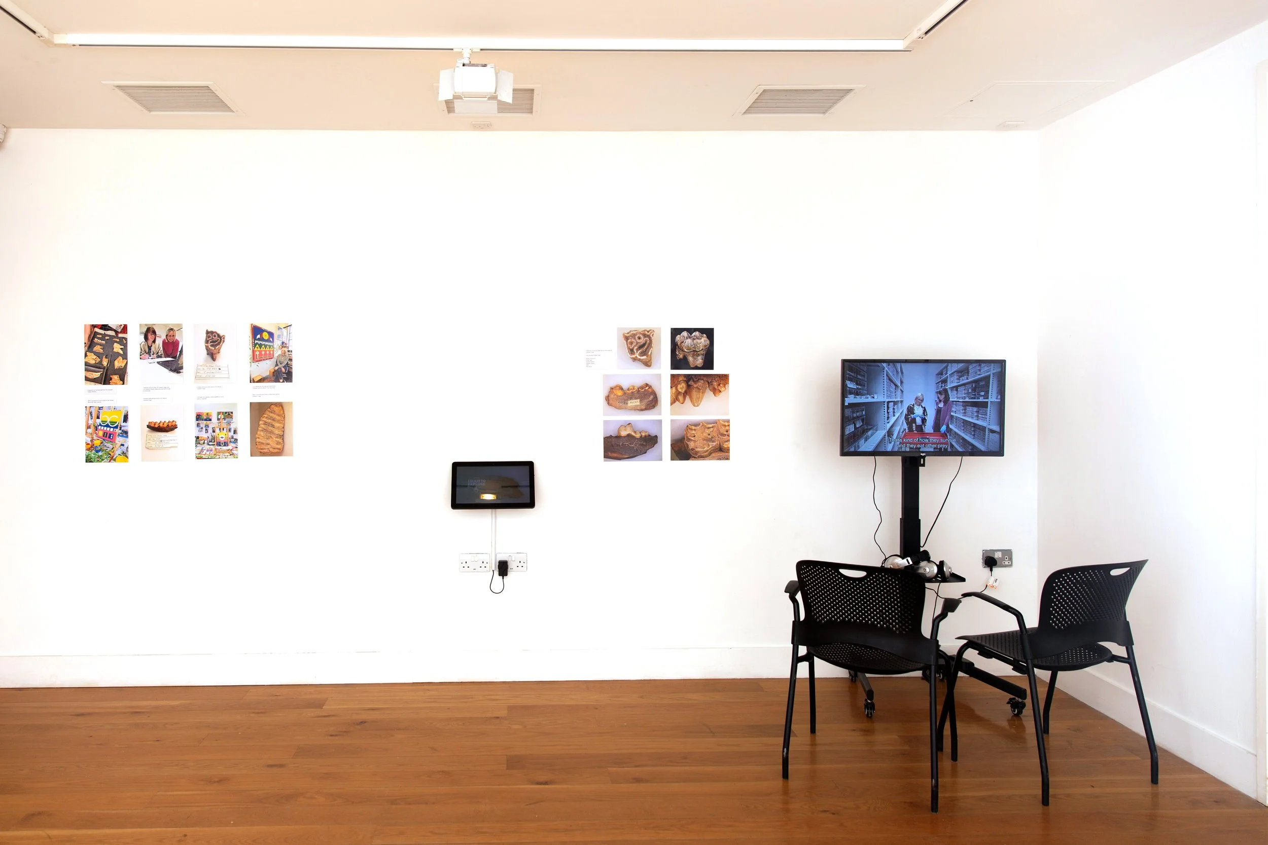 Installation shot of research wall.jpg