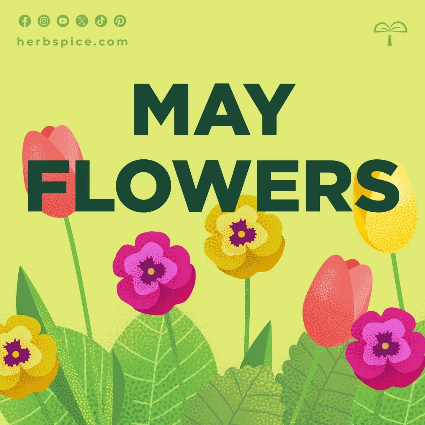 Happy May Flowers 🌸 Who's excited about spring 🙌🏽

Thank you for your patience and for being part of the herbspice community. Like the flowers of May, we&rsquo;ve been growing quietly&mdash;and we&rsquo;re almost ready to bloom.
✨ herbspice 2.0 is