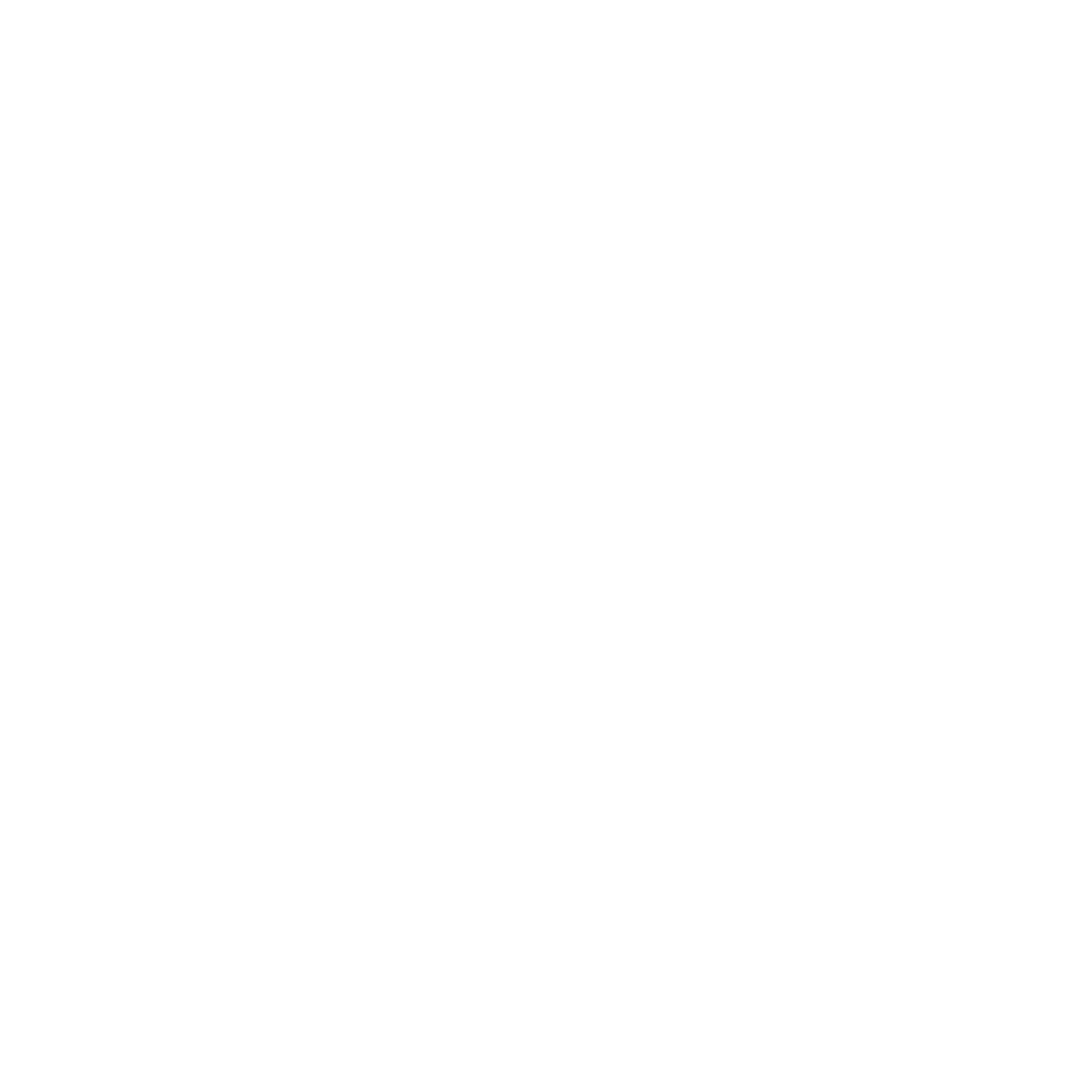Tahoe Disc Golf Adventures