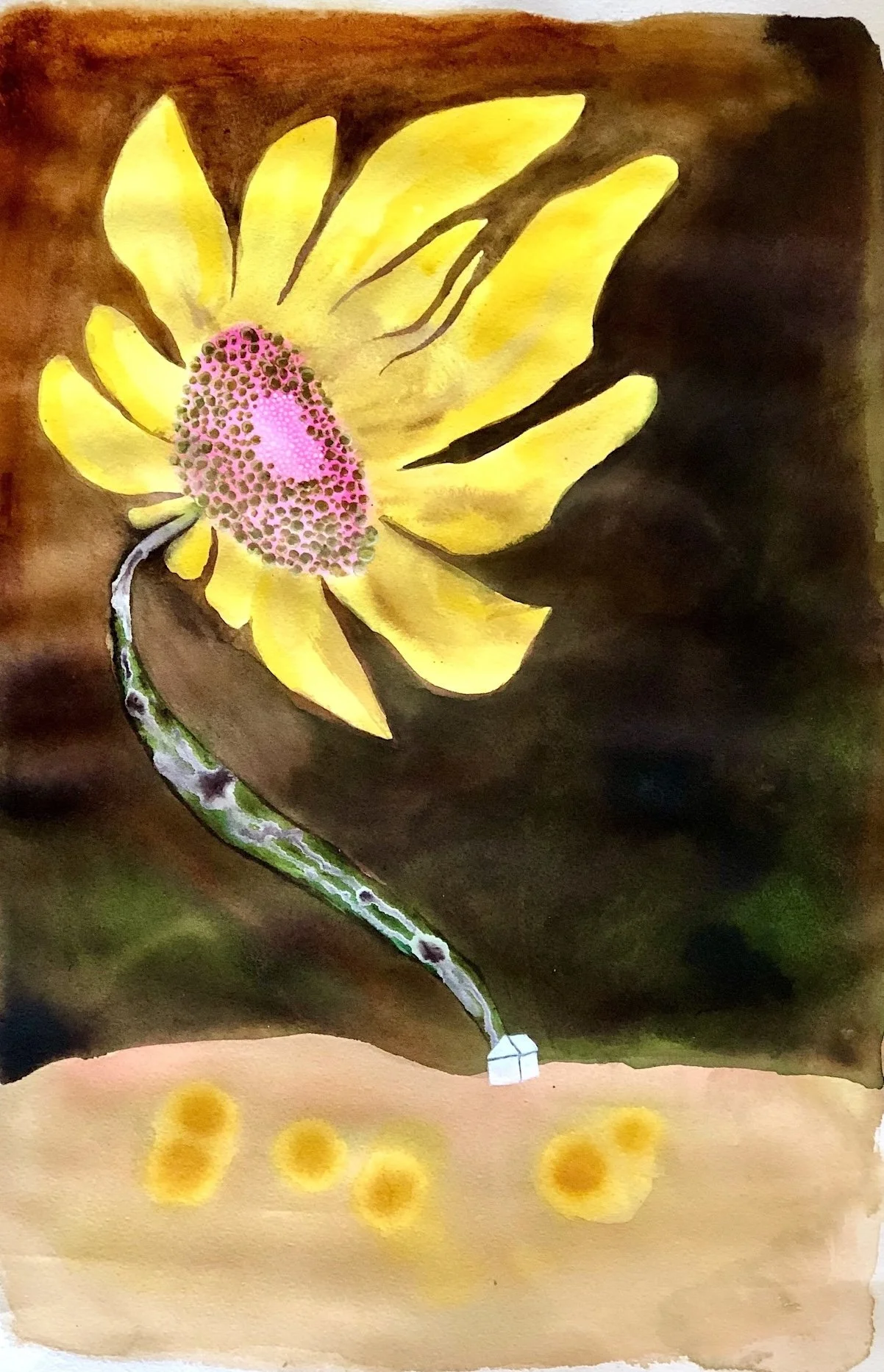 House Bound, watercolor on paper, 19”x12 1/2"