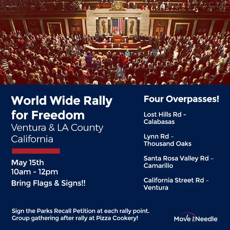 Overpass Rally for US Constitution & Elected Officials Accountability.jpg