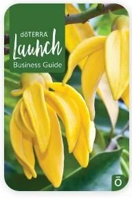 Launch Guide