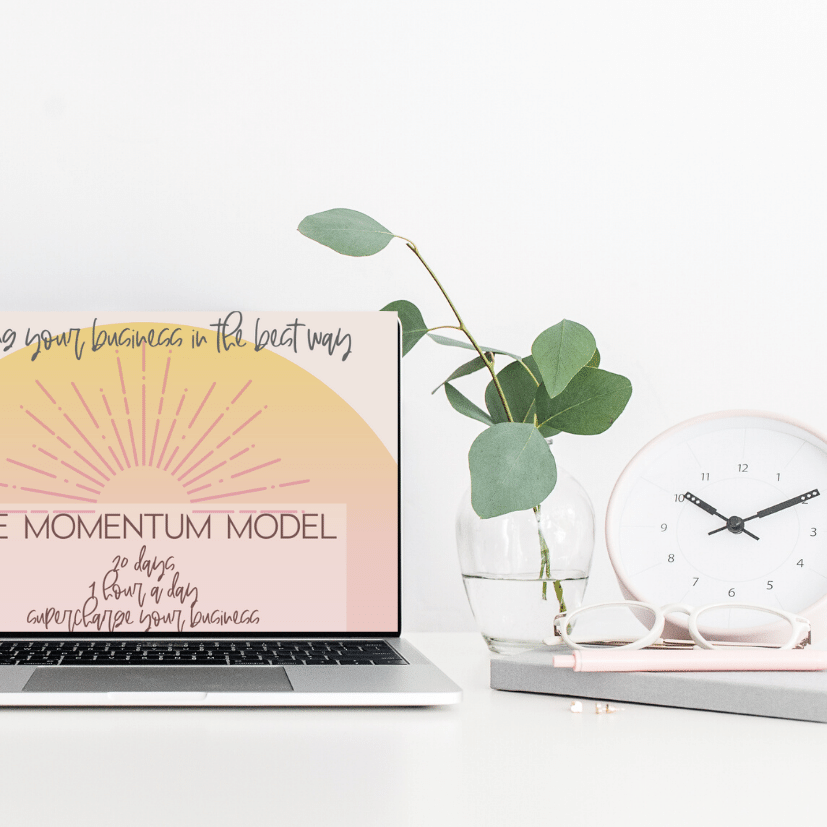 momentum computer.png