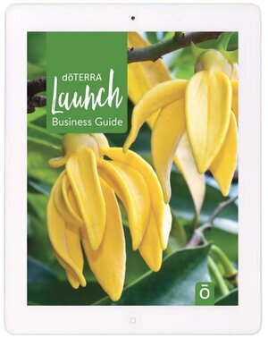 launch+ipad.jpg