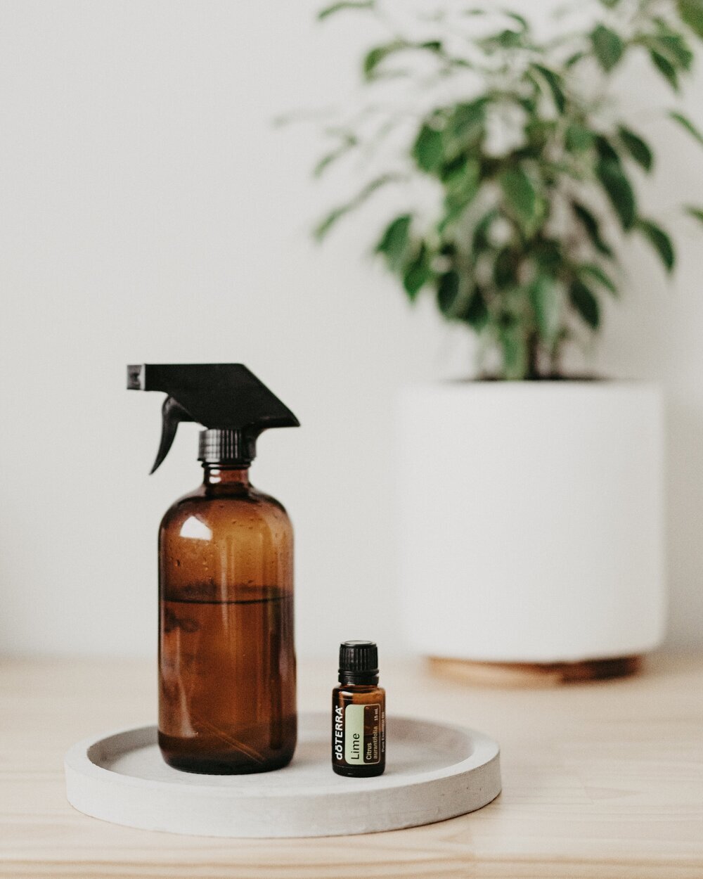 Doterra_TeodoraTinc_9_15.jpg