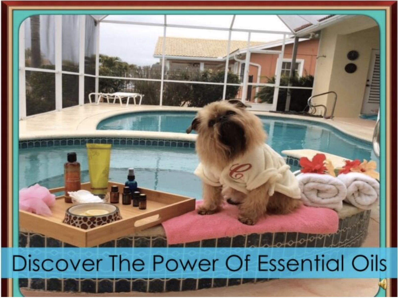 Enjoy this PowerPoint all Pets + Essential Oils