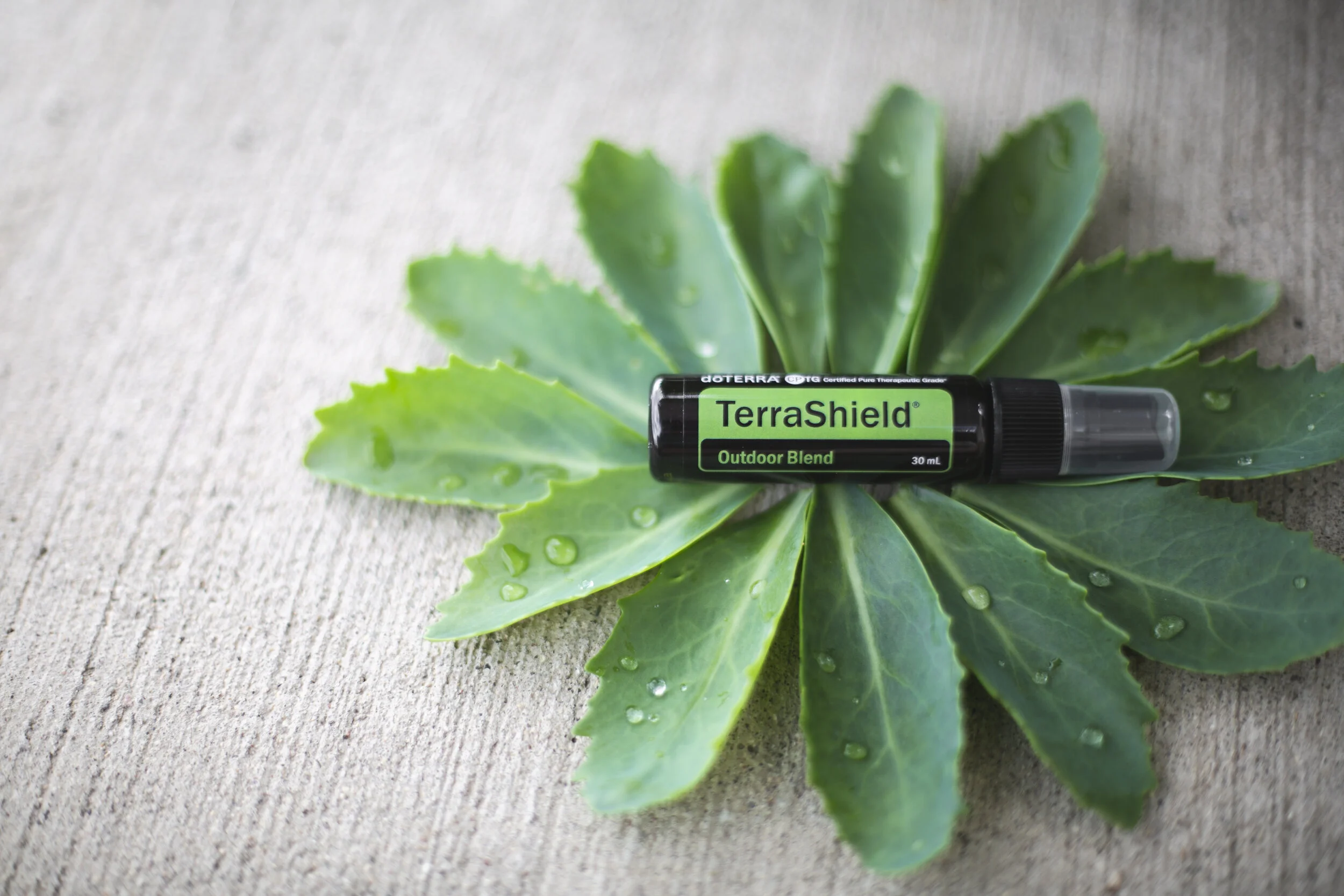 dOne19_Terrashield30mlSpray_cgoodesign_0252US-AU.jpg