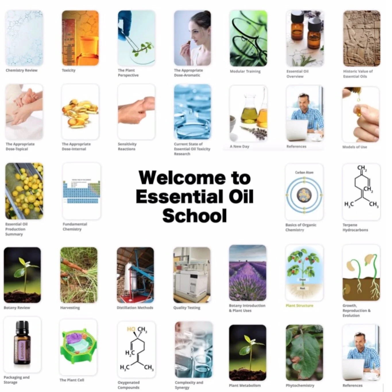 Screen+Shot+2019-04-09+at+10.49.55+AM.jpg