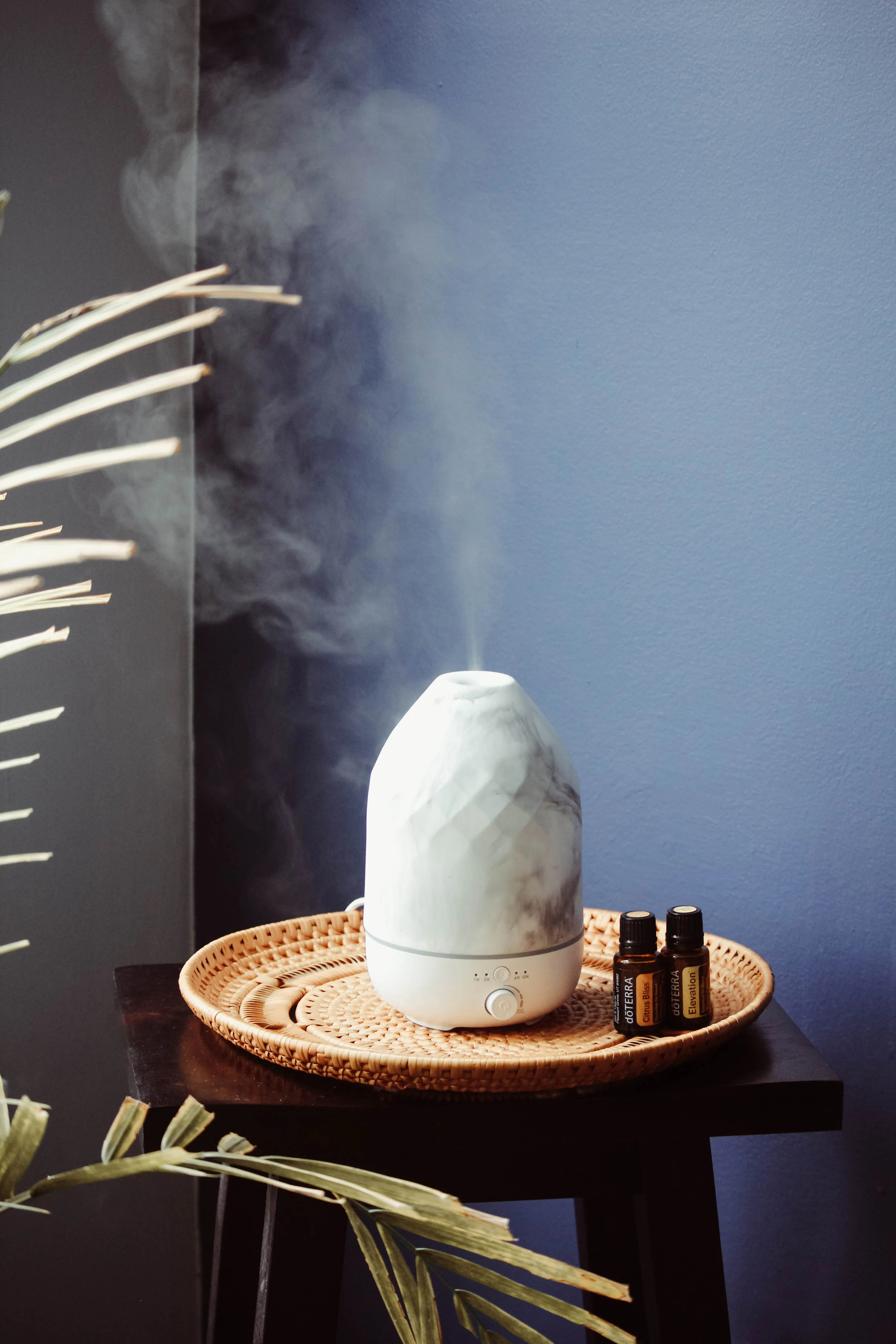 diffuser.jpg