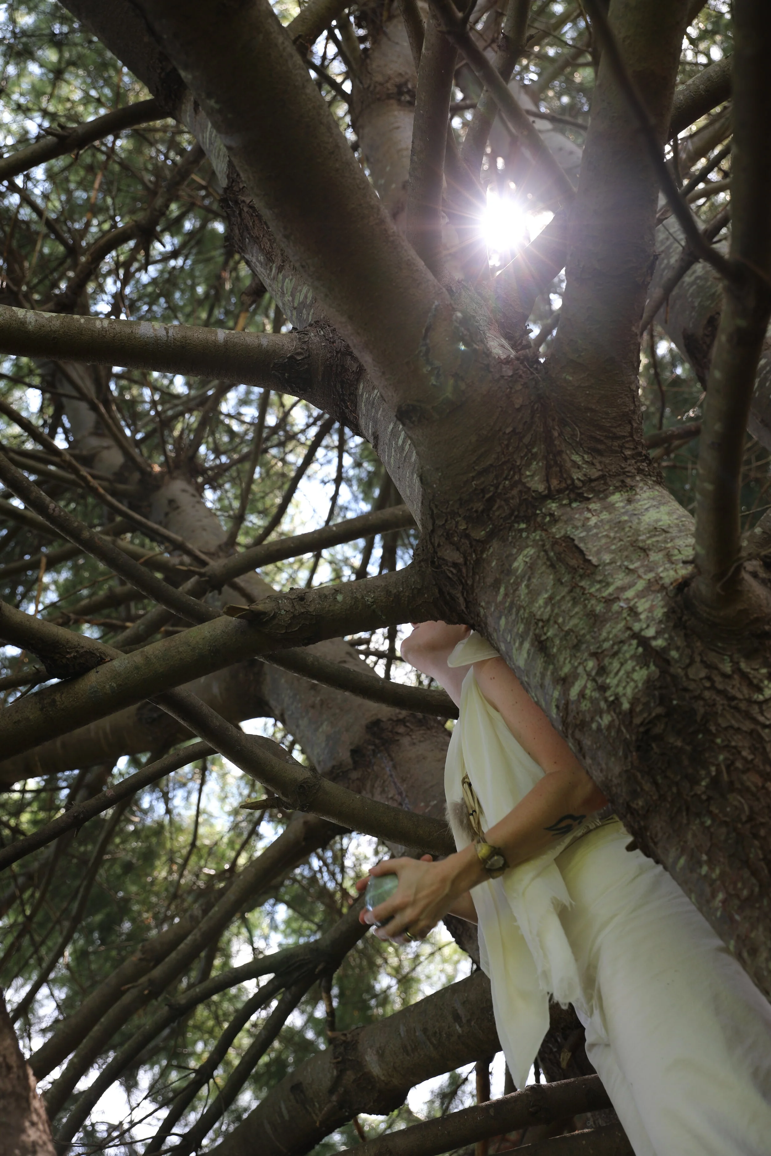 You can often find me IN the trees.  Not much has changed in 30 years.
