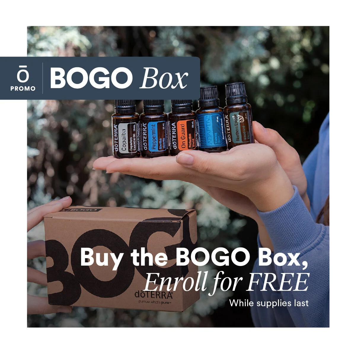 November_BOGO BOX Enrollment_1200x1200px_1.jpg