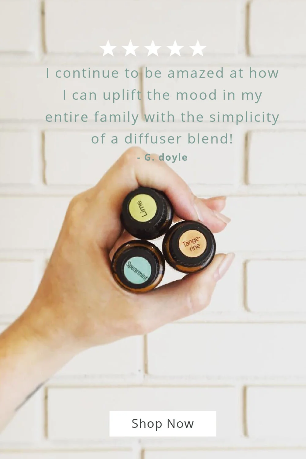 sellitdiffuser.jpg