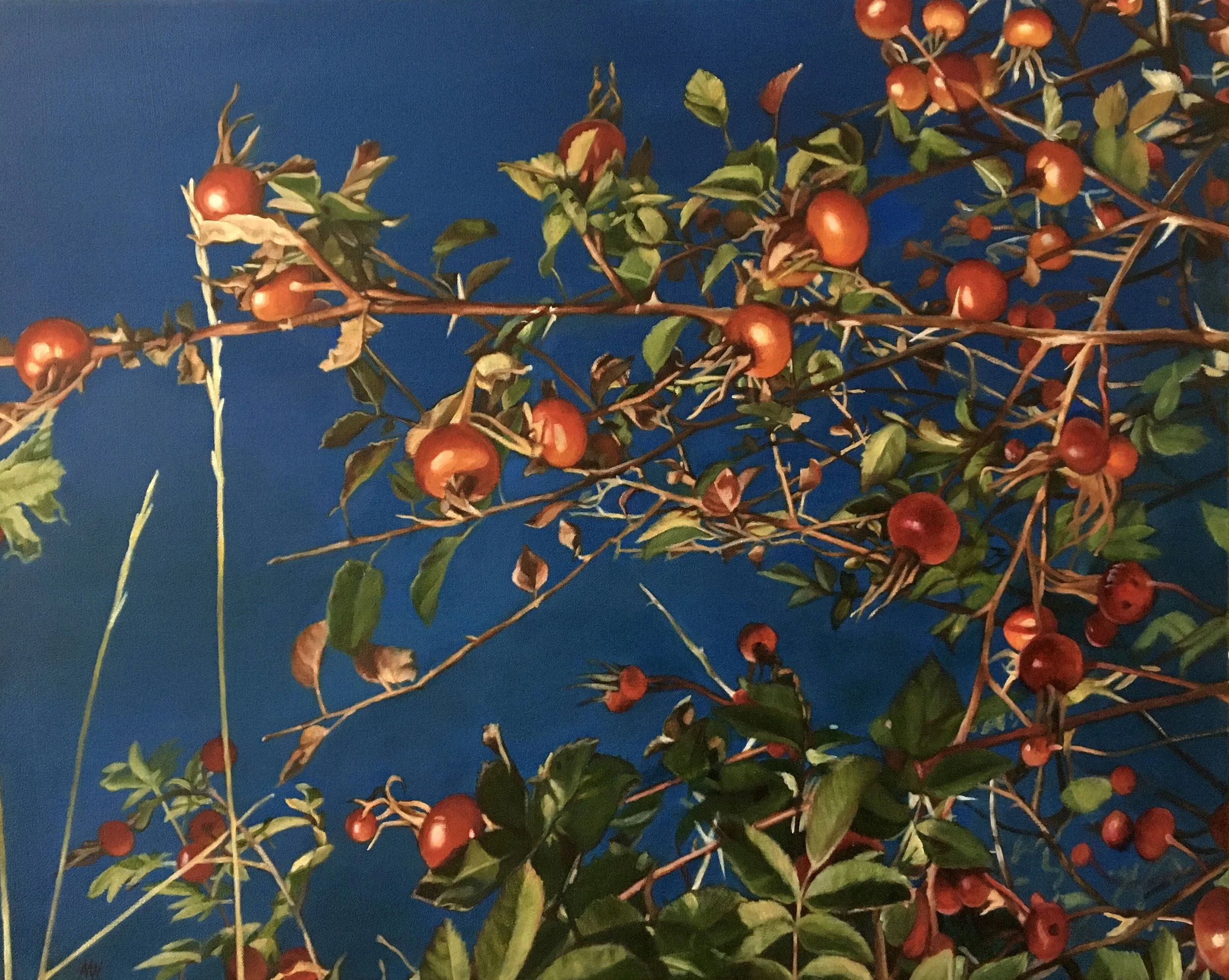 Dance_of_the_Rosehips2.jpg