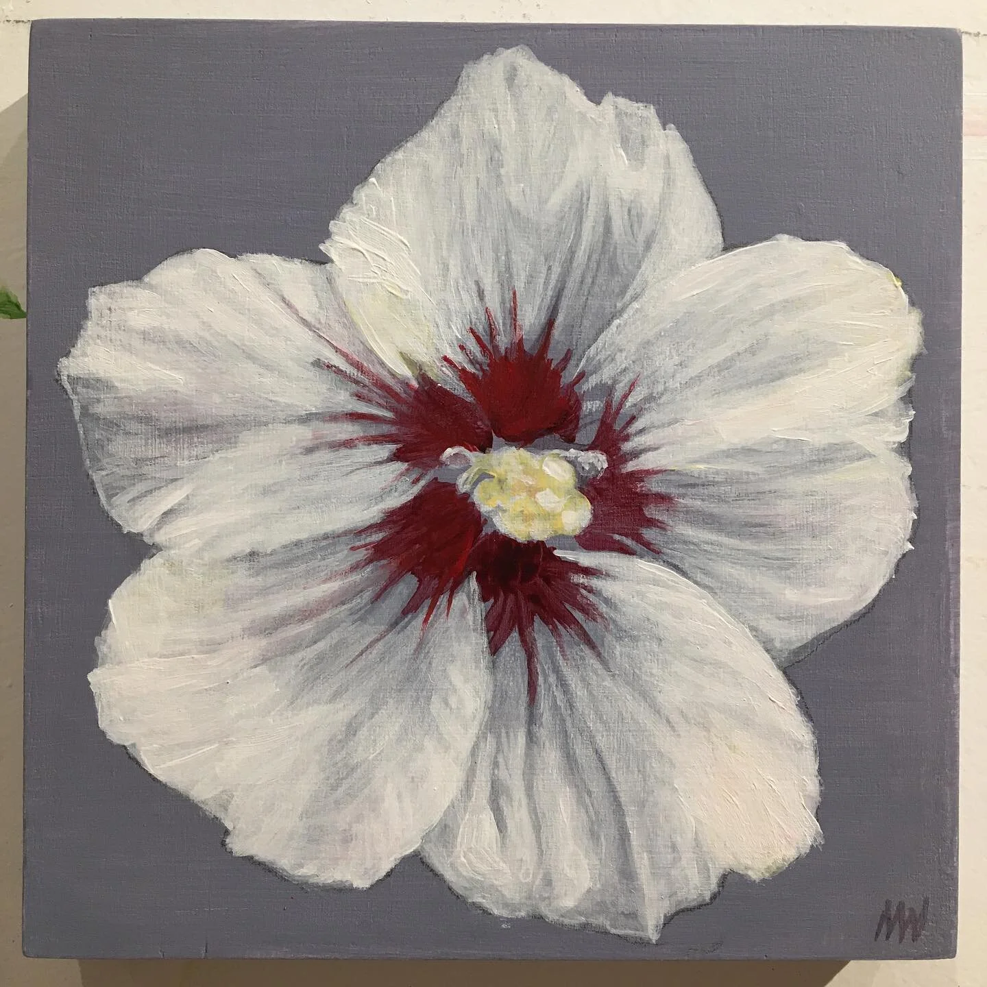 Rose of Sharon shows its splendour most of late summer. Still going strong! #artistsoninstagram #garden #acrylicpainting #flowers #colour #contemporarypainting #fannybaybc #fannybayhall