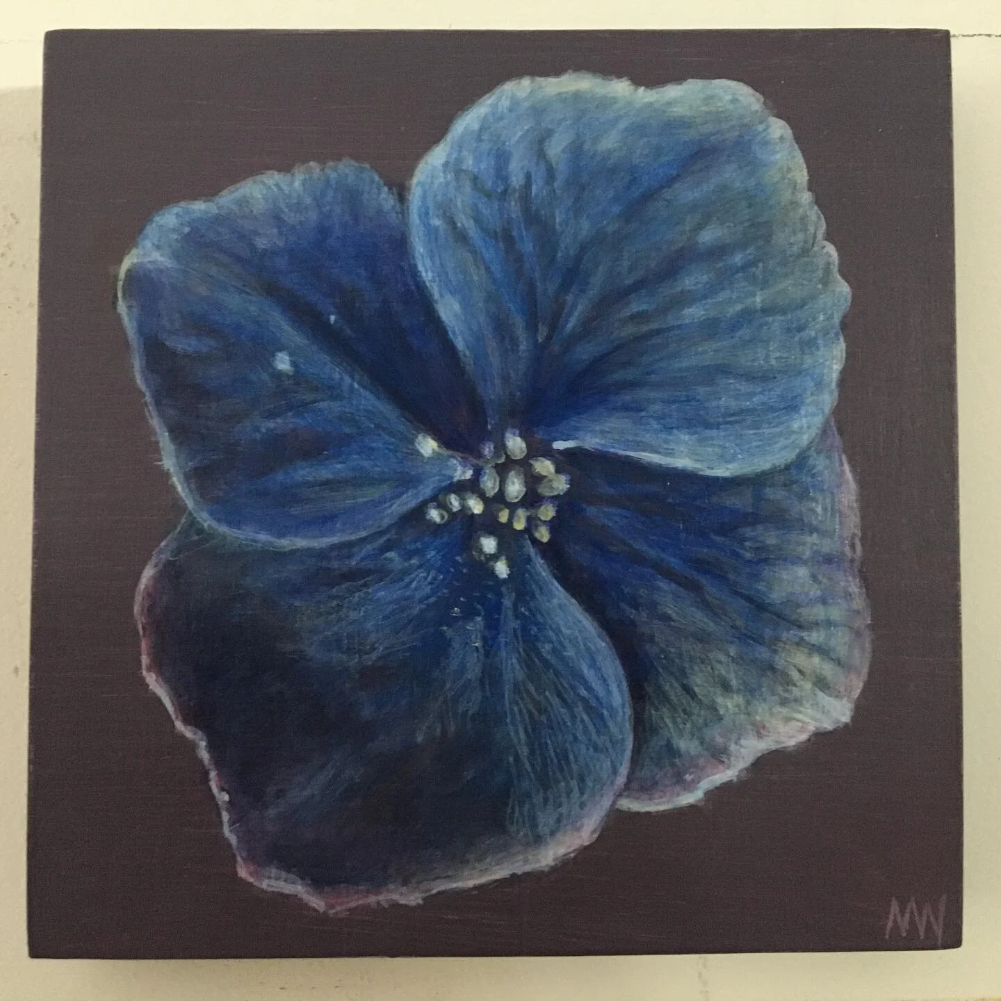 Hydrangea is impossible to capture in its full spectrum, love the bushes that were already well established here before we moved in. #artistsoninstagram #garden #hydrangea #flowers #acrylicpainting #contemporaryart #contemporarypainting