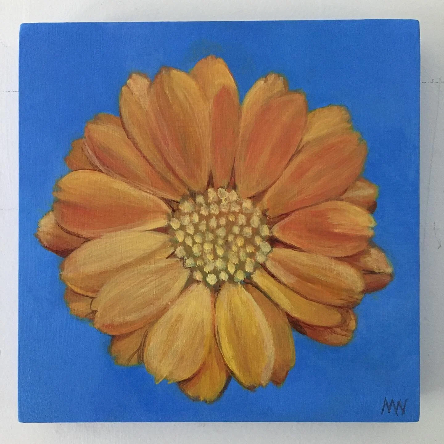 Calendula is a new flower for us, brightening up the gaps! #artistsoninstagram #contemporarypainting #acrylic #flowers #calendula #colour #garden #fannybayhall #fannybaybc