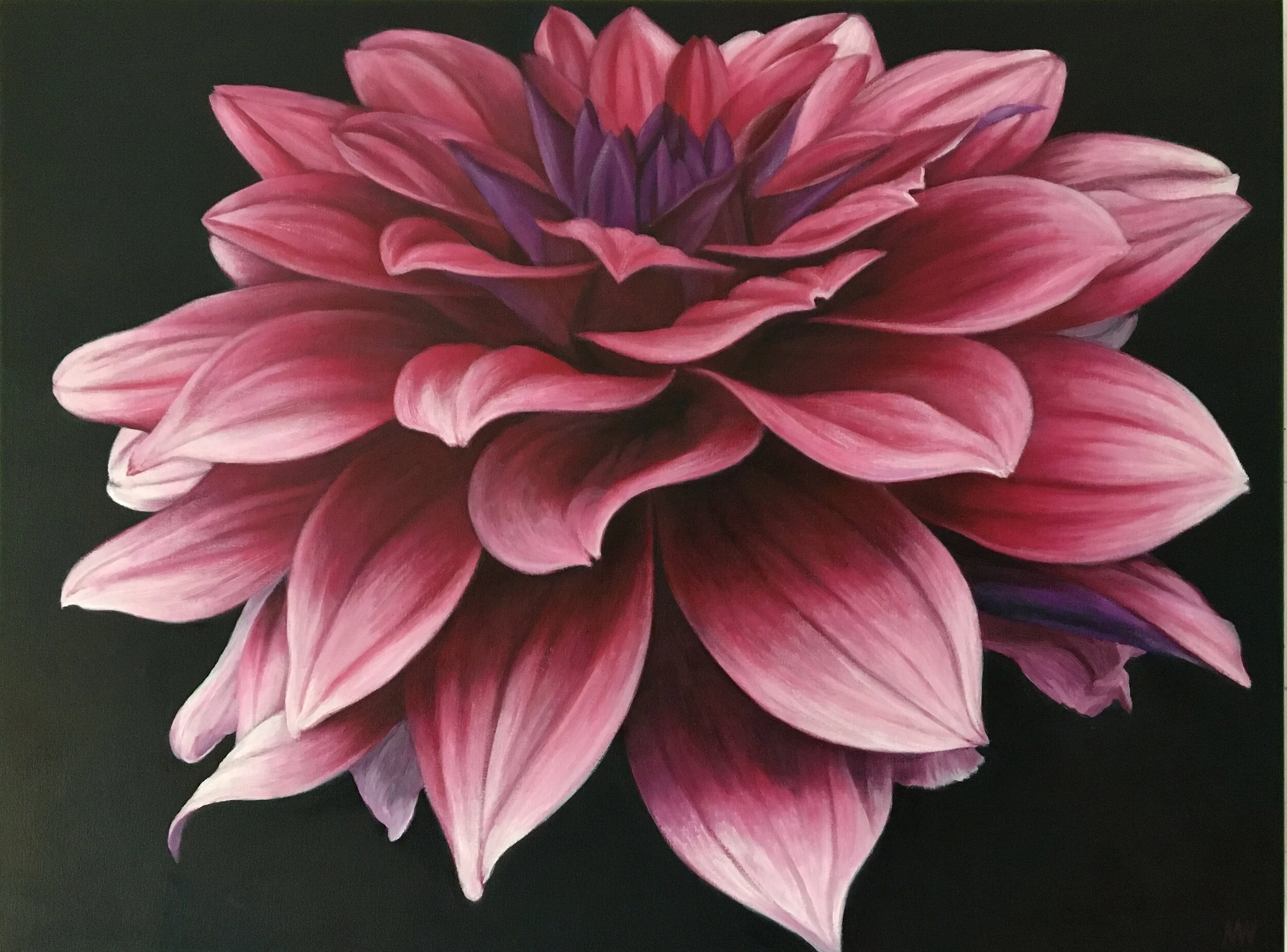 Dahlia Meditation, oil on canvas,  18” x 24”  AVAILABLE