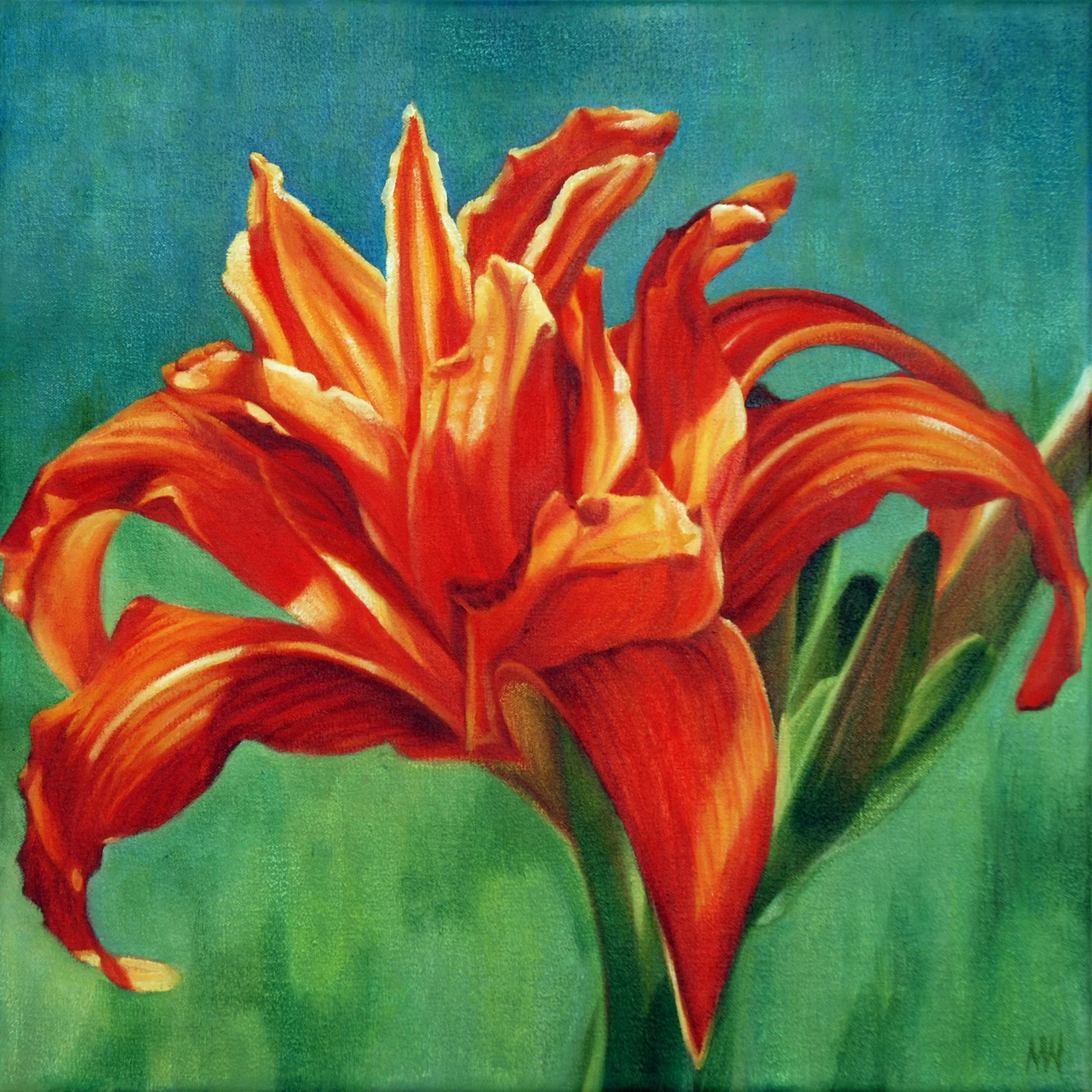 Daylily.jpg