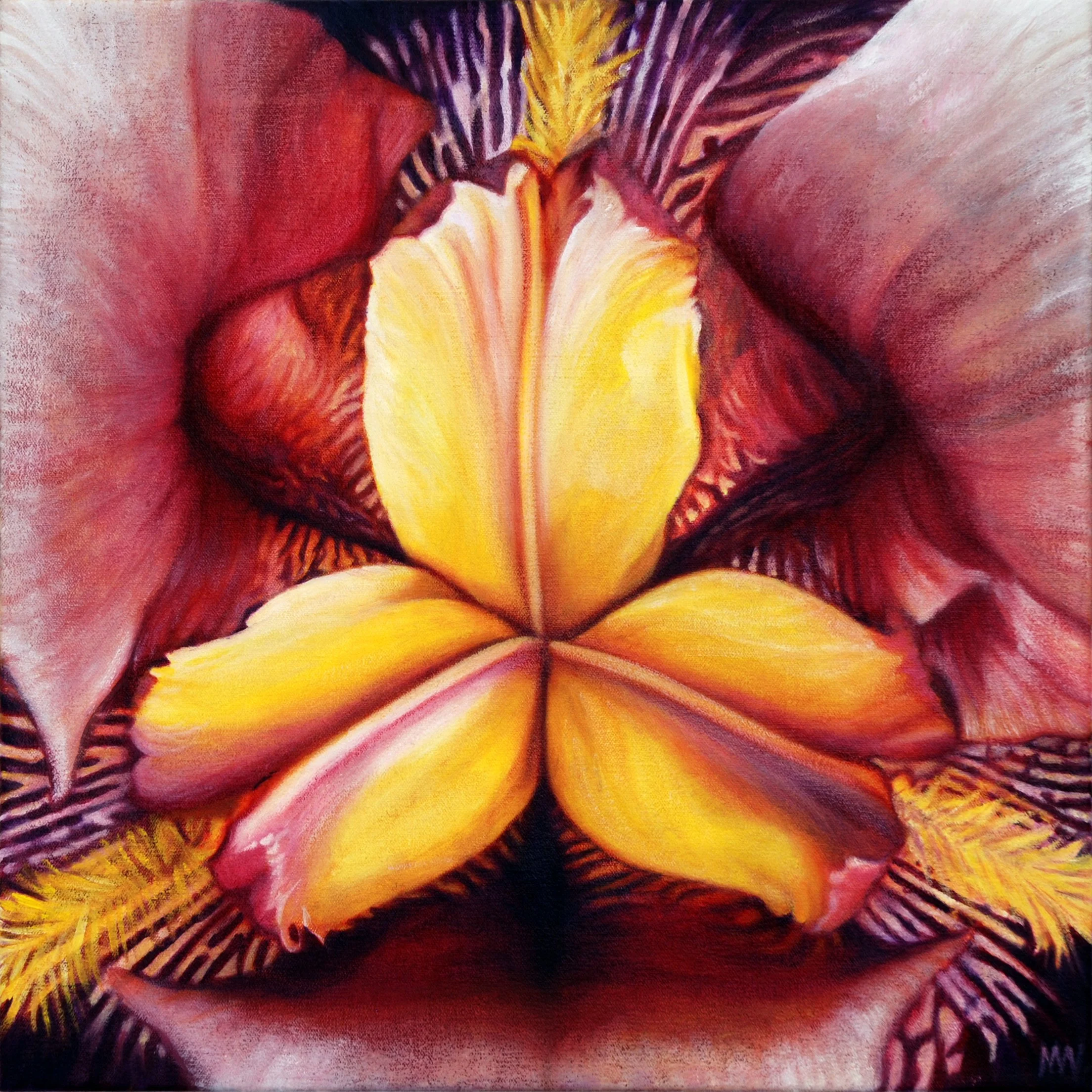 Iris.jpg