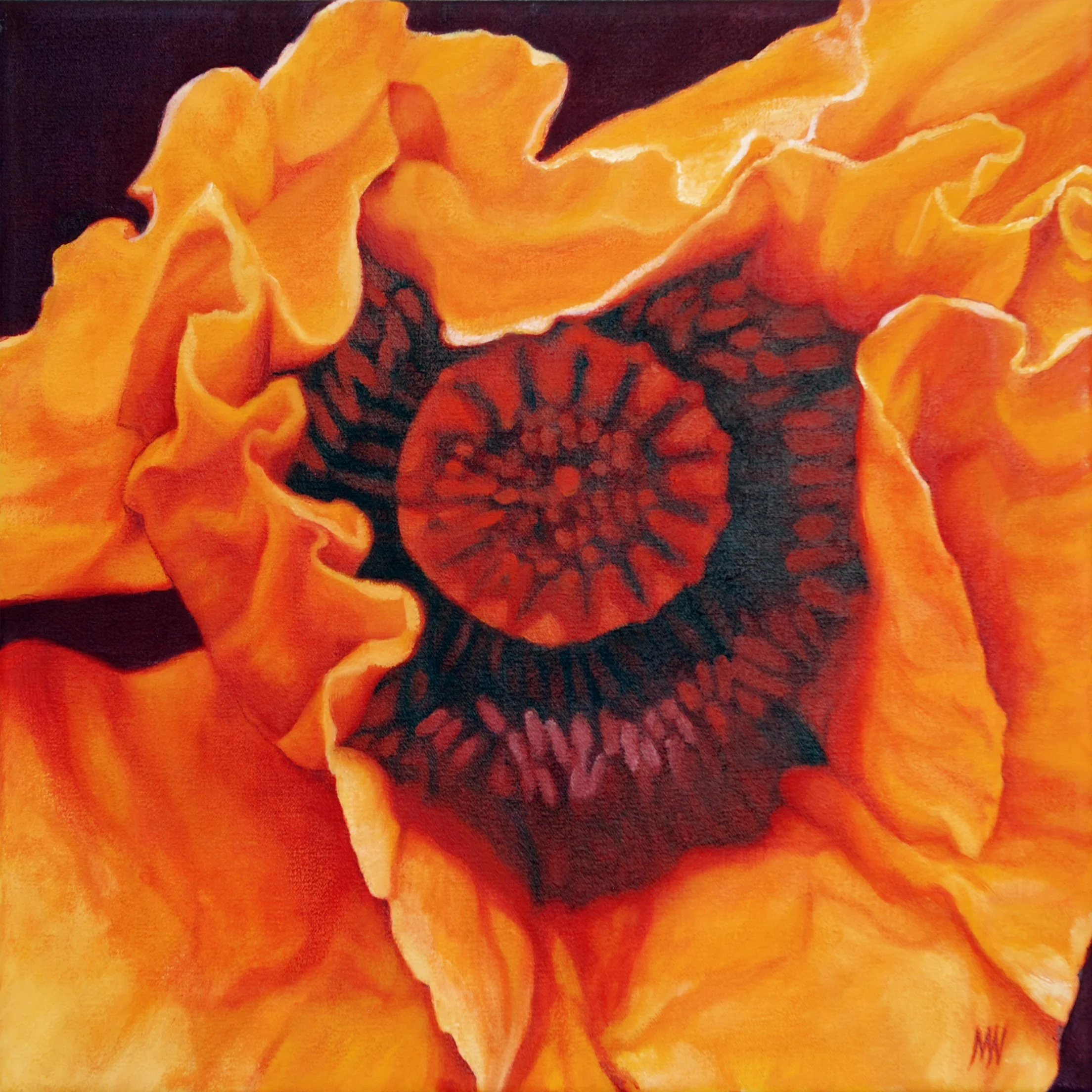 Poppy.jpg