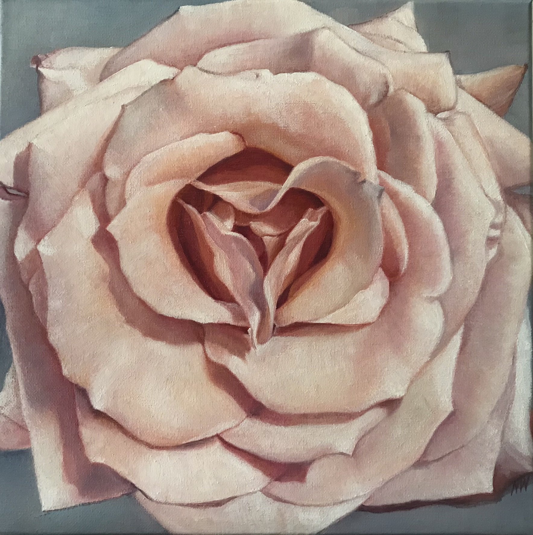 Silk,  oil on canvas,  12" X 12"  for SALE