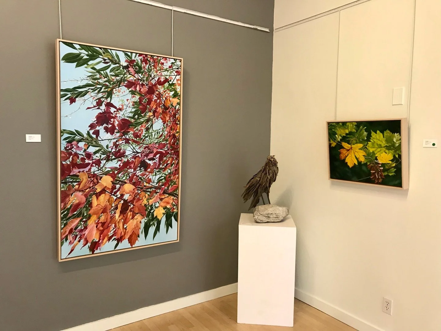 A pic from Maple Song show in April. 🍁 Happy to say that both of these painting sold, among a few others. Feeling rewarded for my work and grateful to @madronagallery (Shown also is a Guthrie Gloag sculpture.)

#abstractinnature #contemporarypaintin