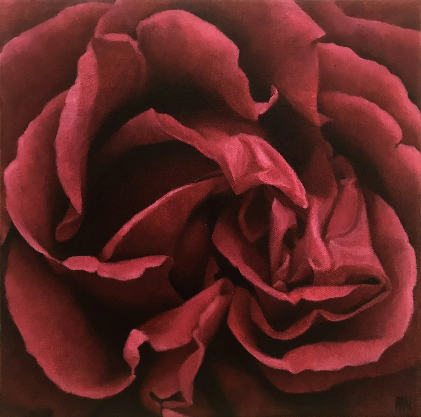 Tozer Rose  12 x 12"  oil on canvas