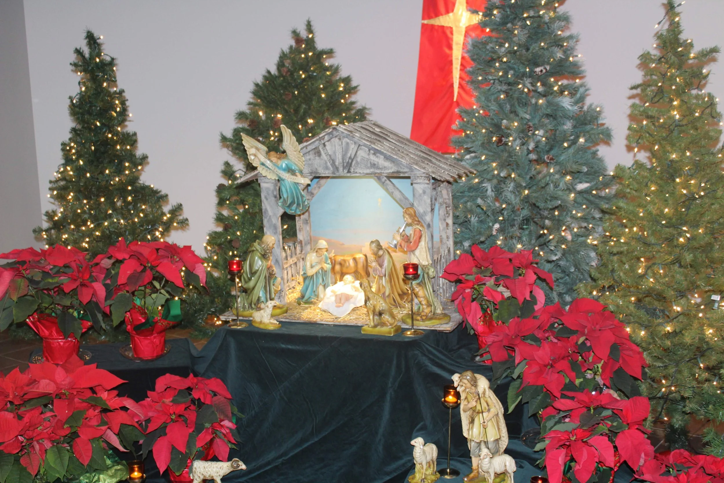 Christmas 2023 Reflection