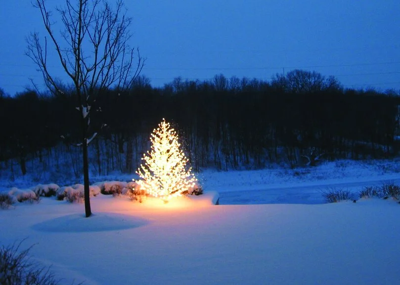 Starting Anew This Advent