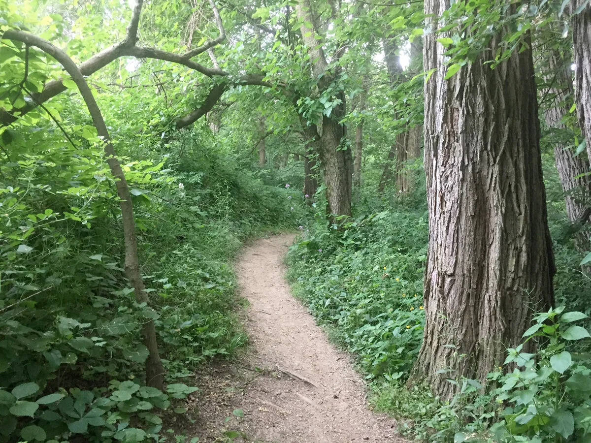 Our Own Road to Emmaus