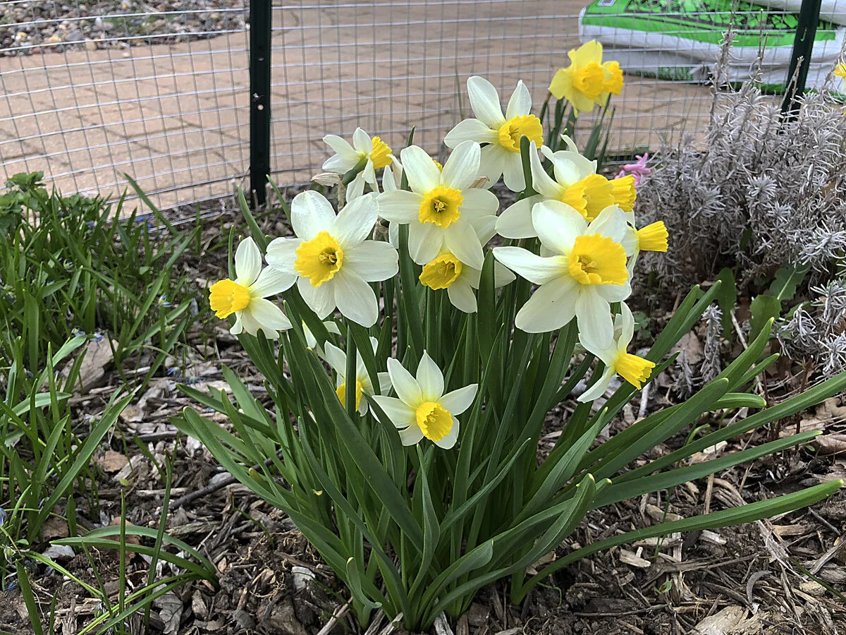 Heaven is Closer Than We Think