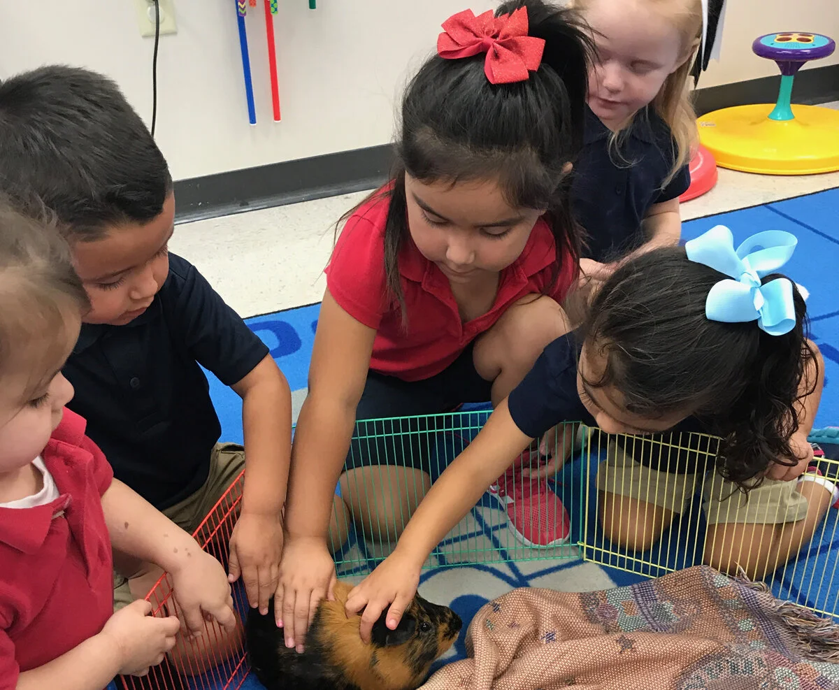 Our Catholic Preschool Classroom is Sweeter with a S'more!