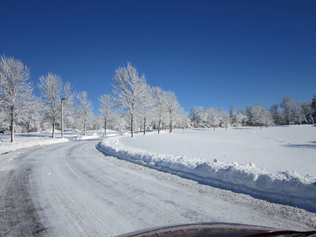 Wake Up, Wait, and Welcome - An Advent Reflection for Oblates
