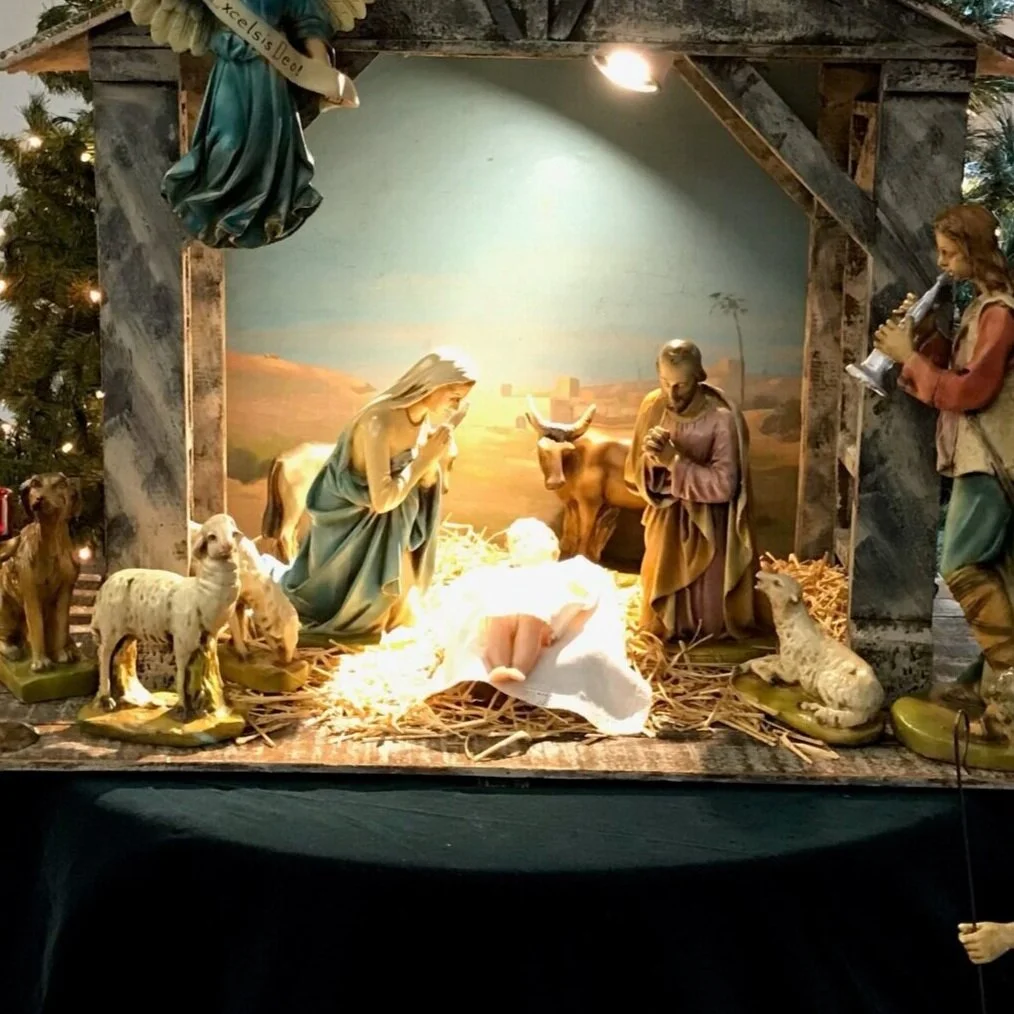 Sister Susan’s Reflection: Christ is Our Light